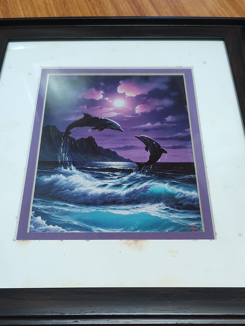 Framed Jumping Dolphins Print